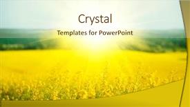  Presentation with rapeseed - Audience pleasing slide deck consisting of ethanol - rapeseed field blooming canola flowers backdrop and a cream colored foreground