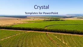  Presentation with sugar cane - Amazing presentation theme having ethanol - sugar cane field in brazil backdrop and a light blue colored foreground