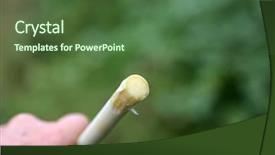  Presentation with sugar cane - Presentation theme enhanced with ethanol - sugarcane or sugar cane are background and a tawny brown colored foreground