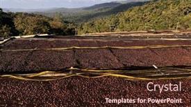  Presentation with beds - Presentation enhanced with ethiopian-coffee-cherries-lying background and a wine colored foreground