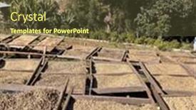  Presentation with beds - Slides featuring ethiopian-coffee-cherries-lying background and a tawny brown colored foreground