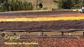  Presentation with ethiopia - Slide set with ethiopian-coffee-cherries-lying background and a tawny brown colored foreground