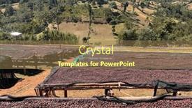  Presentation with beds - Presentation theme enhanced with ethiopian-coffee-cherries-lying background and a coral colored foreground