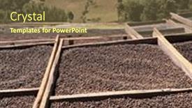  Presentation with beds - Slide deck featuring ethiopian-coffee-cherries-lying background and a tawny brown colored foreground