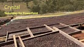  Presentation with beds - Presentation theme featuring ethiopian-coffee-cherries-lying background and a tawny brown colored foreground