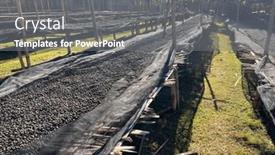  Presentation with beds - Presentation theme having ethiopian-coffee-cherries-lying background and a gray colored foreground