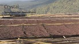  Presentation with ethiopia - Presentation theme featuring ethiopian-coffee-cherries-lying background and a light blue colored foreground