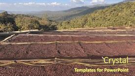  Presentation with beds - Slides having ethiopian-coffee-cherries-lying background and a tawny brown colored foreground