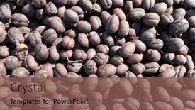  Presentation with ethiopia - PPT theme with ethiopian-dried-coffee-before background and a violet colored foreground