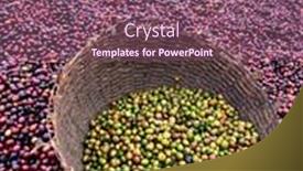  Presentation with green coffee - Theme with ethiopian-red-and-green-coffee background and a violet colored foreground