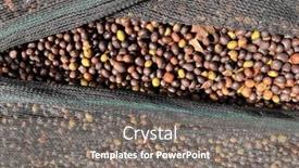  Presentation with green coffee - Slide deck with ethiopian-red-and-green-coffee background and a gray colored foreground