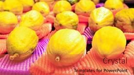  Presentation with jewish - PPT theme with etrogs-sukkot-is-one background and a red colored foreground