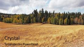  Presentation with forests - Audience pleasing PPT theme consisting of eua - early autumn in the forests backdrop and a gold colored foreground