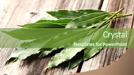  Presentation with eucalyptus - Amazing presentation design having eucalyptus - laurel leaves on a wooden backdrop and a tawny brown colored foreground