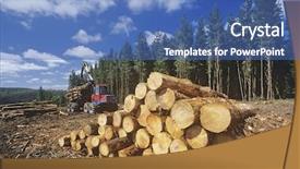  Presentation with timber harvest - PPT layouts featuring eucalyptus bluegum trees being harvest background and a teal colored foreground