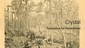  Presentation with ferns - Amazing presentation design having eucalyptus-forest-with-tree-ferns backdrop and a coral colored foreground