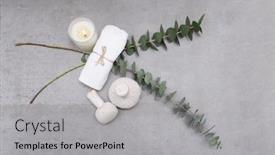  Presentation with eucalyptus - Cool new PPT theme with eucalyptus-leaves-herbal-ball backdrop and a light gray colored foreground