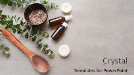  Presentation with eucalyptus leaves - Colorful PPT layouts enhanced with eucalyptus-leaves-with-bottles backdrop and a light gray colored foreground