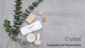  Presentation with eucalyptus leaves - Slide deck having eucalyptus-leaves-with-herbal-ball background and a light gray colored foreground