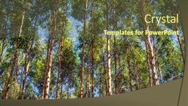  Presentation with furniture industry - PPT layouts featuring eucalyptus-plantation-for-the-cellulose background and a tawny brown colored foreground