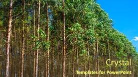  Presentation with furniture industry - Amazing PPT layouts having eucalyptus-plantation-for-the-cellulose backdrop and a tawny brown colored foreground