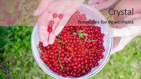  Presentation with bowl - PPT layouts consisting of euman sours - bowl of red currants background and a  colored foreground