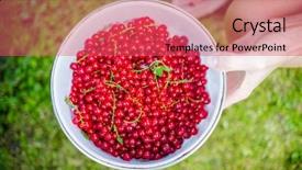  Presentation with currant black white and red - Audience pleasing presentation theme consisting of euman sours - bowl of red currants backdrop and a  colored foreground