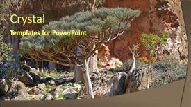  Presentation with island - Slide set featuring euphorbia-arbuscula-endemic-tree-o background and a tawny brown colored foreground