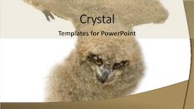  Presentation with eagle - PPT theme having eurasian eagle owl - bubo bubo background and a soft green colored foreground
