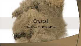  Presentation with eagle - Cool new slides with eurasian eagle owl - bubo bubo 6 weeks in front of a white background backdrop and a coral colored foreground