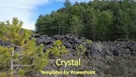  Presentation with lava - Slide deck featuring european colonization - young pines colonize a flow background and a tawny brown colored foreground