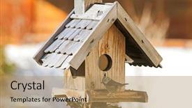  Presentation with hemp - Presentation design featuring european crested tit bird lophophanes background and a coral colored foreground