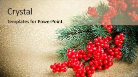  Presentation with holly - PPT theme consisting of european holly and fir-tree background and a lemonade colored foreground