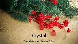  Presentation with holly - Presentation theme with european holly and fir-tree on golden background shallow dof background and a coral colored foreground