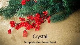  Presentation with holly - PPT layouts with european holly and fir-tree on golden background shallow dof background and a coral colored foreground