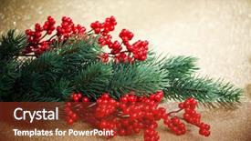  Presentation with holly - Presentation design featuring european holly anf fir-tree on golden background shallow dof background and a tawny brown colored foreground