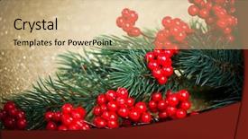  Presentation with holly - Amazing presentation design having european holly anf fir-tree backdrop and a lemonade colored foreground