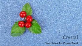  Presentation with holly - Beautiful slides featuring european-holly-ilex-aquifolium backdrop and a light blue colored foreground