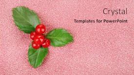  Presentation with holly - Slide deck with european-holly-ilex-aquifolium background and a coral colored foreground
