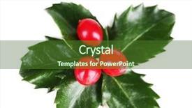  Presentation with holly - Slides enhanced with european-holly-ilex-aquifolium background and a tawny brown colored foreground