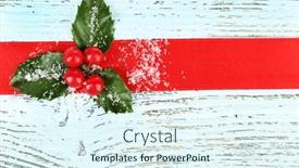  Presentation with holly - PPT layouts with european-holly-ilex-aquifolium background and a sky blue colored foreground