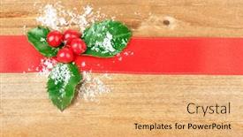  Presentation with holly - Audience pleasing theme consisting of european-holly-ilex-aquifolium backdrop and a coral colored foreground