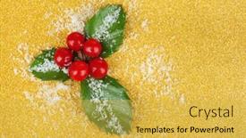  Presentation with holly - 