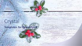  Presentation with fir tree - Slides consisting of european-holly-ilex-aquifolium background and a sky blue colored foreground