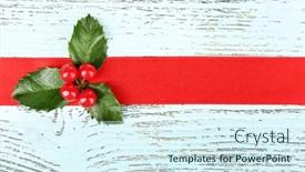  Presentation with holly - PPT theme featuring european-holly-ilex-aquifolium background and a cool aqua colored foreground