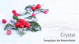  Presentation with holly - Theme consisting of european holly ilex aquifolium with berries on wooden background background and a sky blue colored foreground