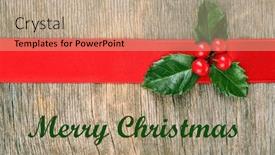  Presentation with holly - Amazing PPT layouts having european holly ilex aquifolium with berries on wooden background backdrop and a coral colored foreground