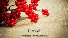  Presentation with holly - Presentation design having european holly on golden background shallow dof background and a lemonade colored foreground