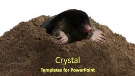 Presentation with underground mining gold mine tunnel - Presentation theme having european-mole-crawling-out background and a tawny brown colored foreground