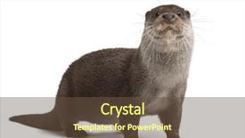  Presentation with old crumpled paper violence against women - Cool new PPT layouts with european otter lutra lutra 6 backdrop and a tawny brown colored foreground